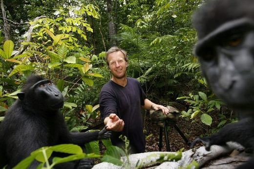Klicken um zu vergrößern affe,fotograf