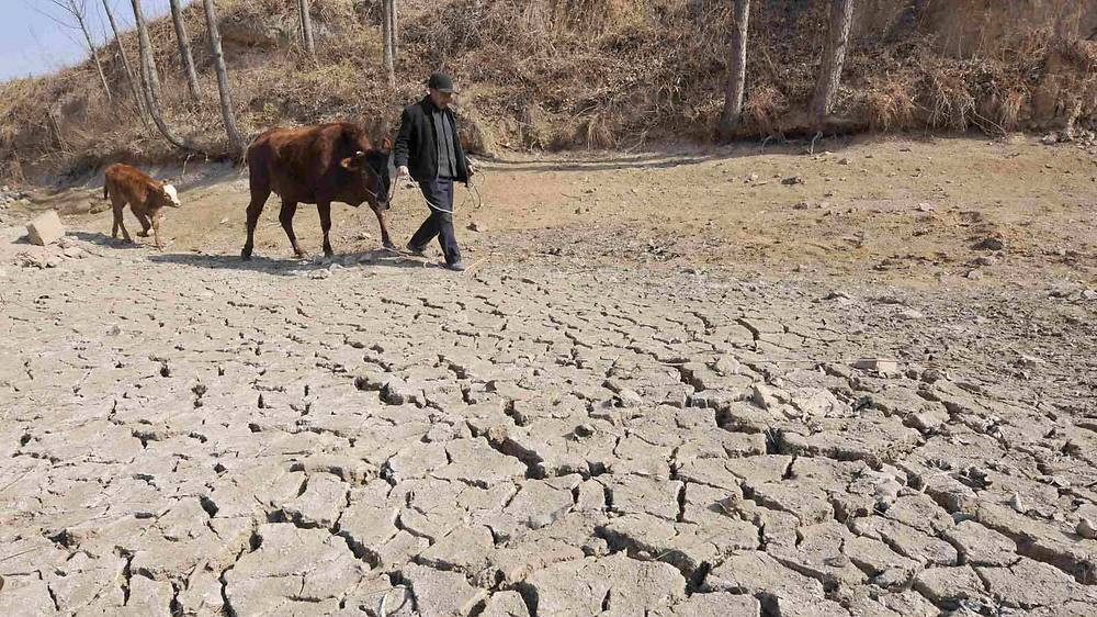 Dürre im chinesischen Rizhao