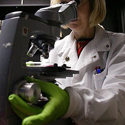 Wissenschaftlerin am Mikroskop