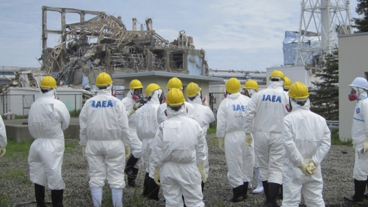 Radioaktiver Müll, Japan
