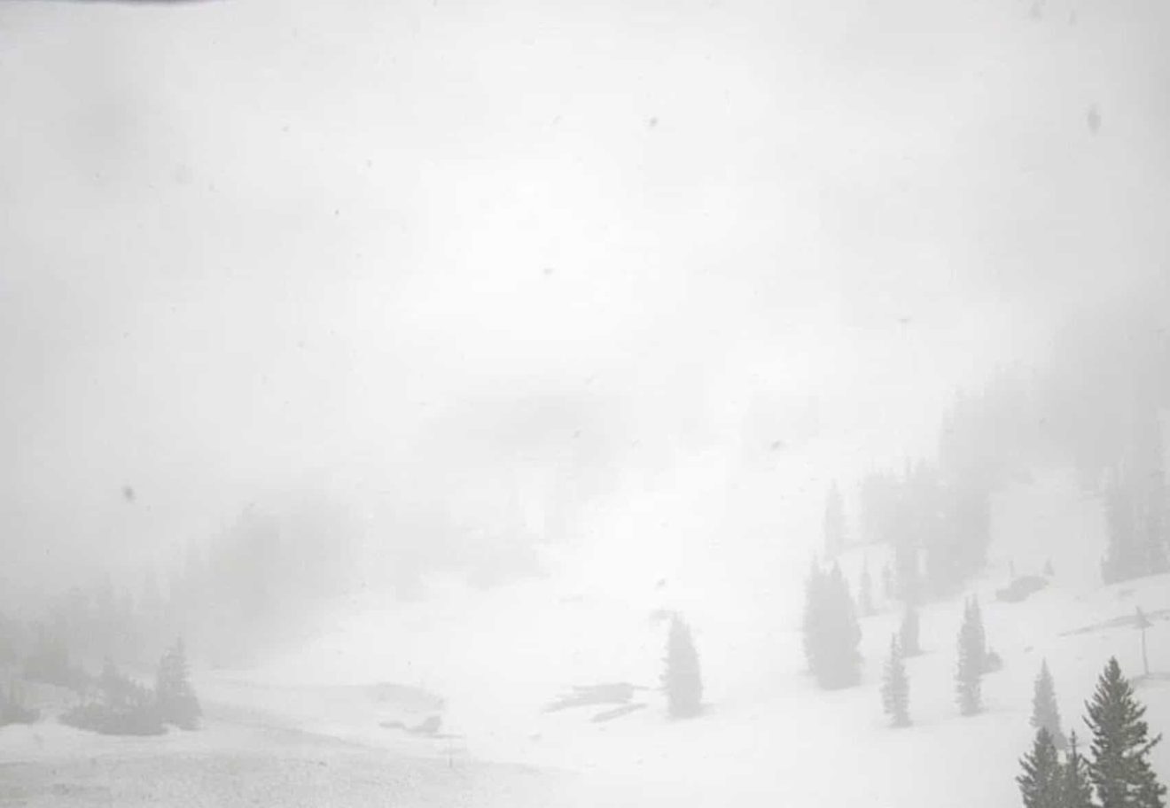 Alta Ski Area Sugarloaf Peak webcam at 10 am on June 20th, 2022.