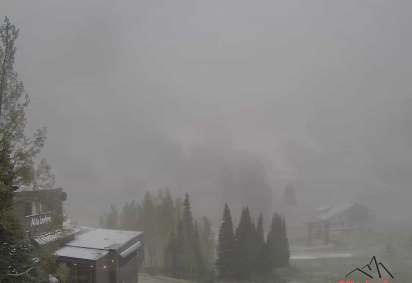 Alta Ski Area lodge webcam at 10 am on June 20th, 2022.