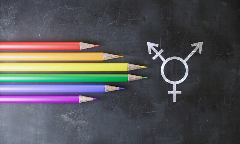 transgender sign lgbt colors pencils