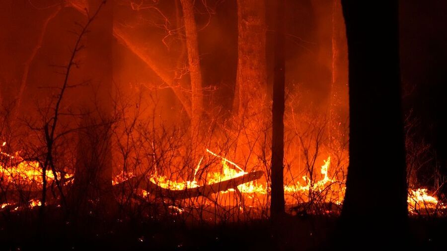 waldbrand new jersey