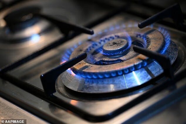 gas stove