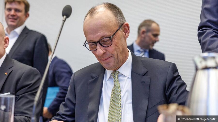 kanzler merz, pinocchio