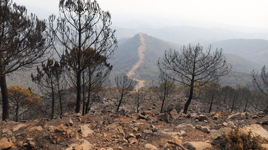 waldbrand andalusien