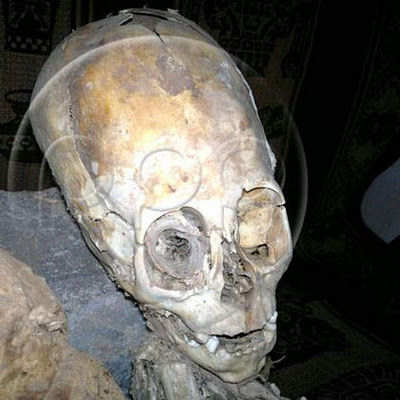 Mumienfund Peru, langer Schädel