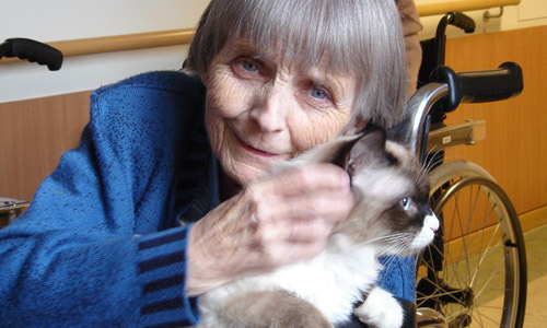 Alte Frau mit Katze im Arm