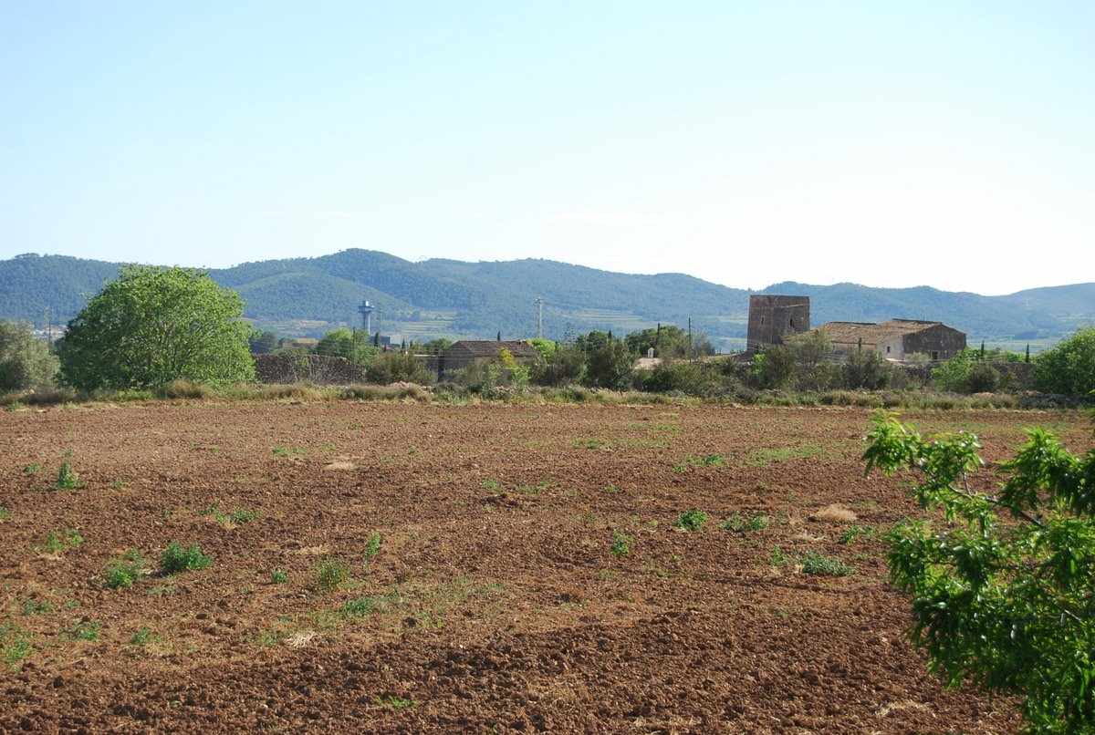 Brachliegende Felder, Spanien