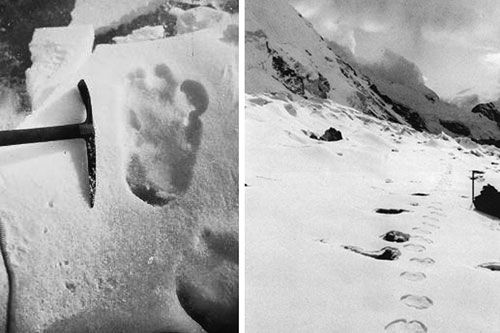 Yeti-Spuren 1951, Mt Everest