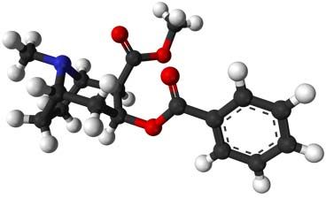 Modell des Kokain-Moleküls