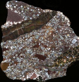 Gesteinsschicht, 2,6 Mrd Jahre alt