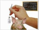 Schweinegrippeimpfstoff