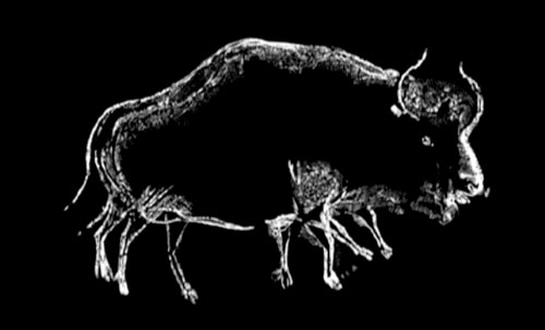 Bison mit acht Beinen aus der Chauvet-Höhle