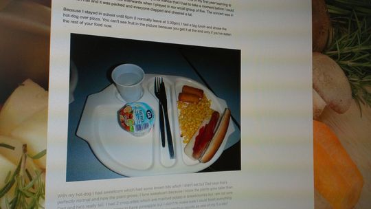 Screenshot des Blogs Never Seconds