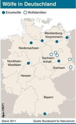 Klicken um zu vergrößern Wolfsrudel in Deutschland