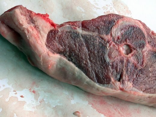 Klicken um zu vergrößern gammelfleisch