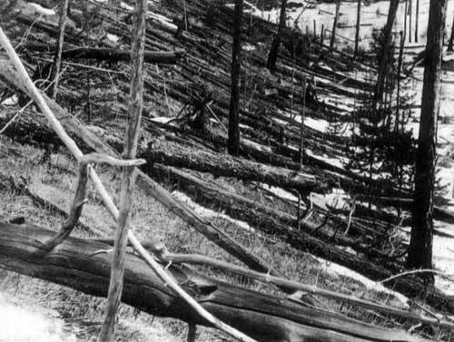 Tunguska