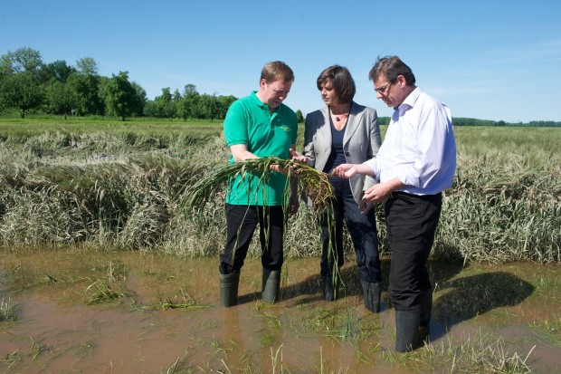 Klicken um zu vergrößern Ernteausfälle, Hochwasser