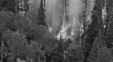 Waldbrand