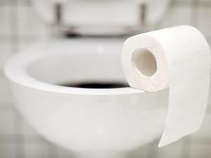 toillette, toilet