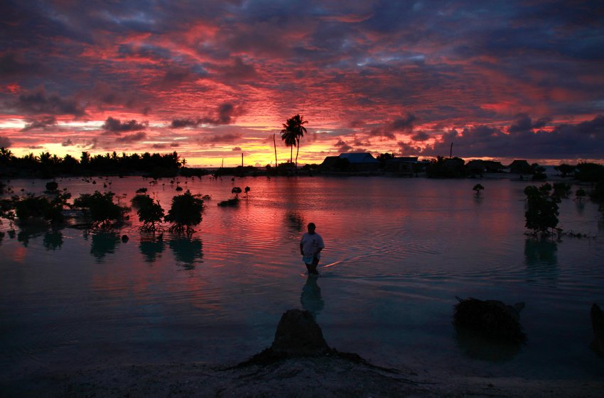Tarawa, insel, sonnenuntergang, palmen, urlaub
