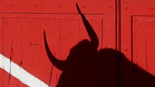 kampfstier, rot, spanien