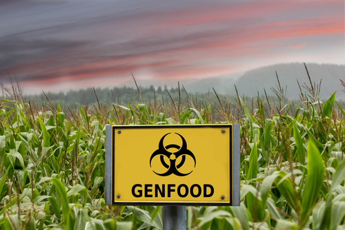 Genfood, genmanipuliert, monsanto