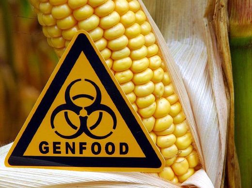 genfood, genetisches essen, gen mai