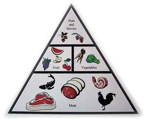 paleo,paläo,die echte ernährungspyramide